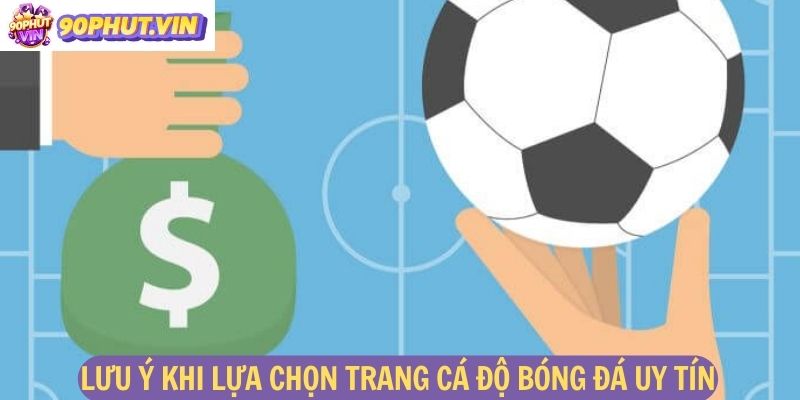 Những điều cần lưu ý khi lựa chọn trang cá độ bóng đá uy tín