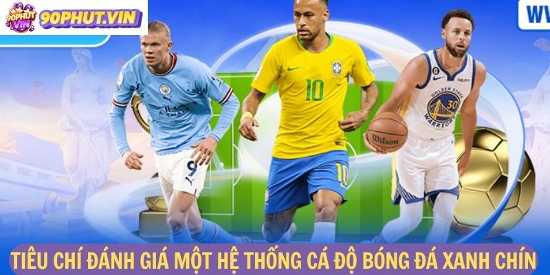 Tiêu chí để đánh giá một hệ thống cá độ bóng đá xanh chín