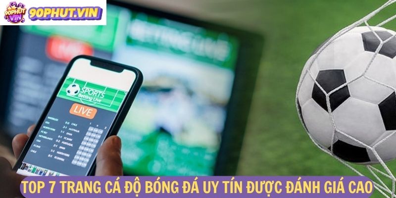 Top 7 Trang cá độ bóng đá uy tín được người chơi đánh giá cao